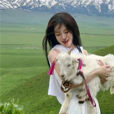 荷花淀、女人和枪